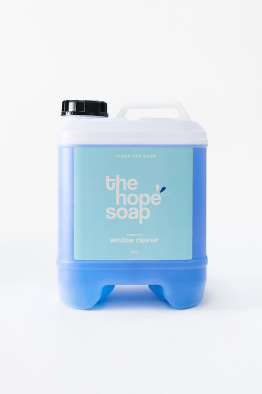 Window Cleaner 10L
