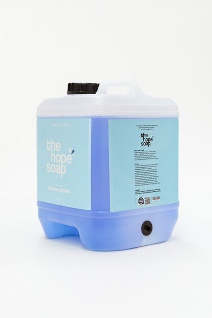 Window Cleaner 10L